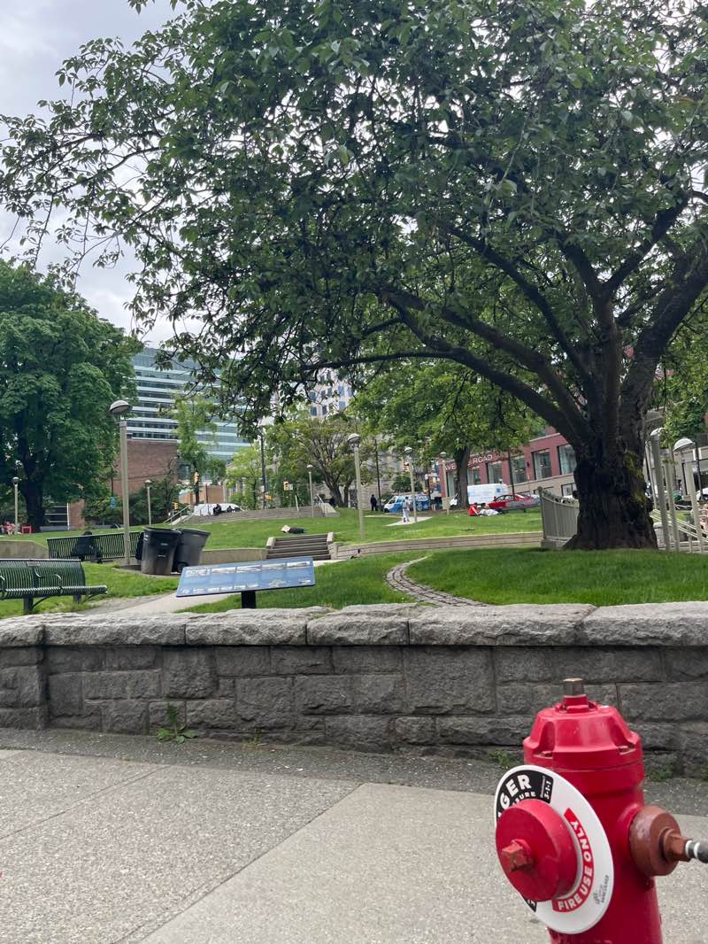 walking near me in Victory Square in spring