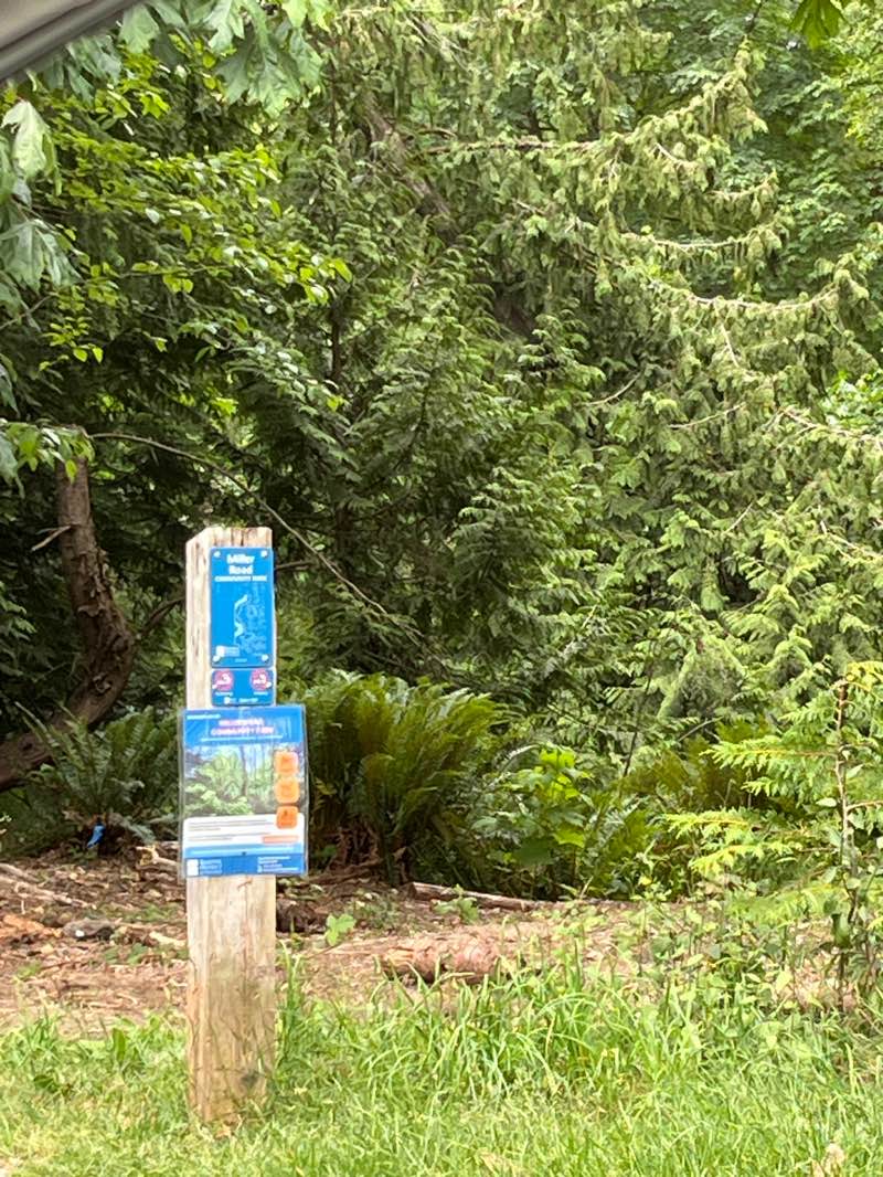 walking near me in Miller Road Community Park in summer
