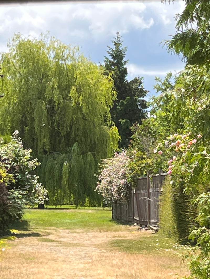 walking near me in Dalmation Community Park in summer
