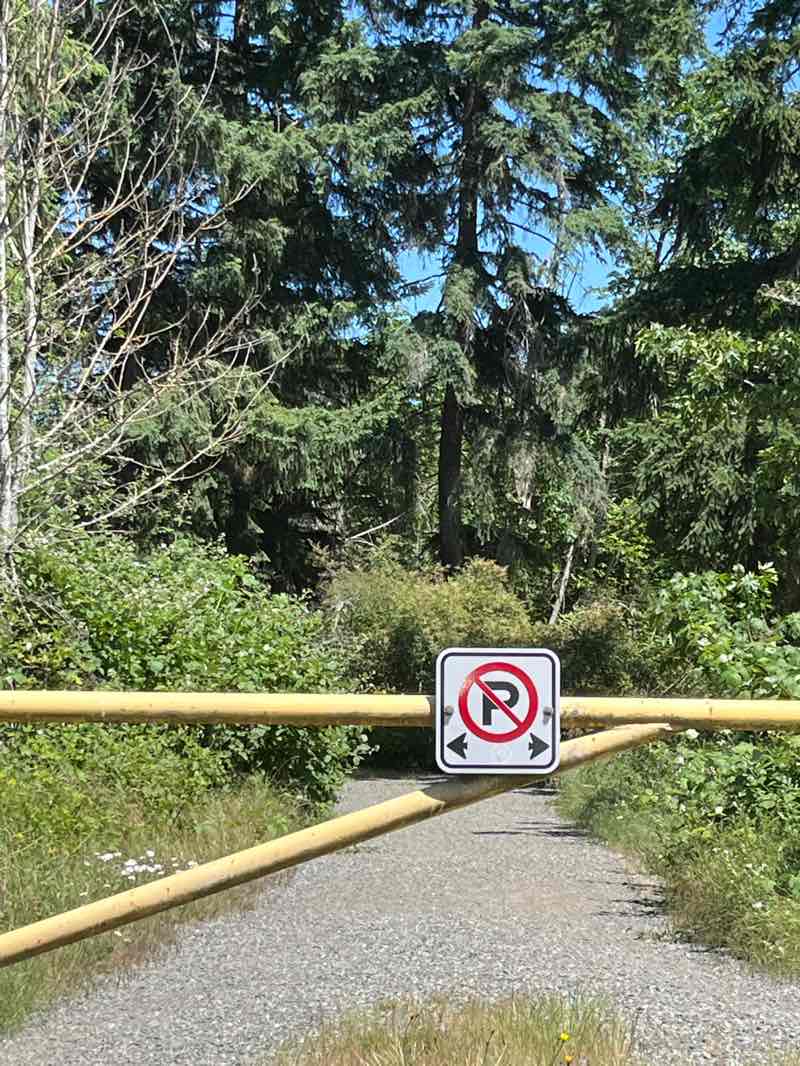 walking near me in Ermineskin Park in summer