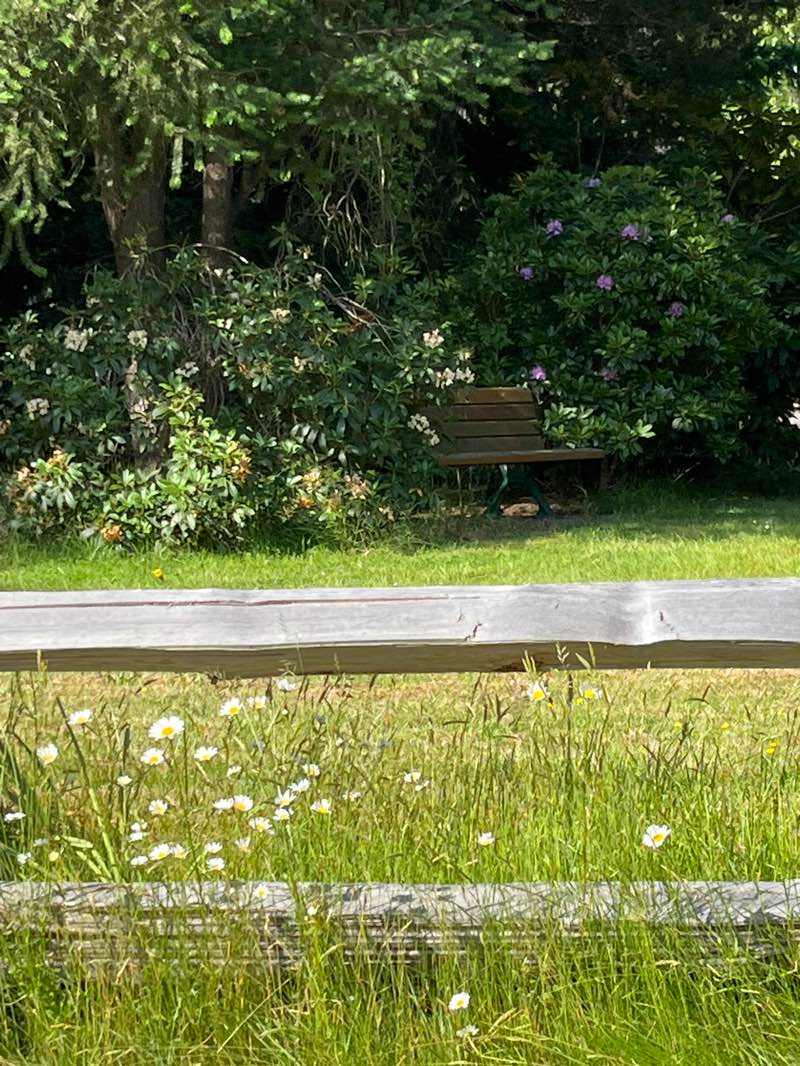 walking near me in Craig Heritage Park in summer