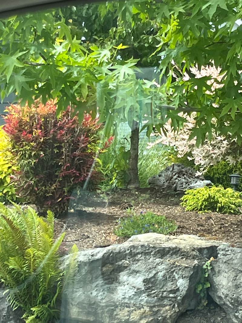 walking near me in Park on Church in summer