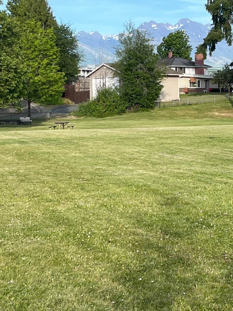 walking near me in Williamson Park in summer