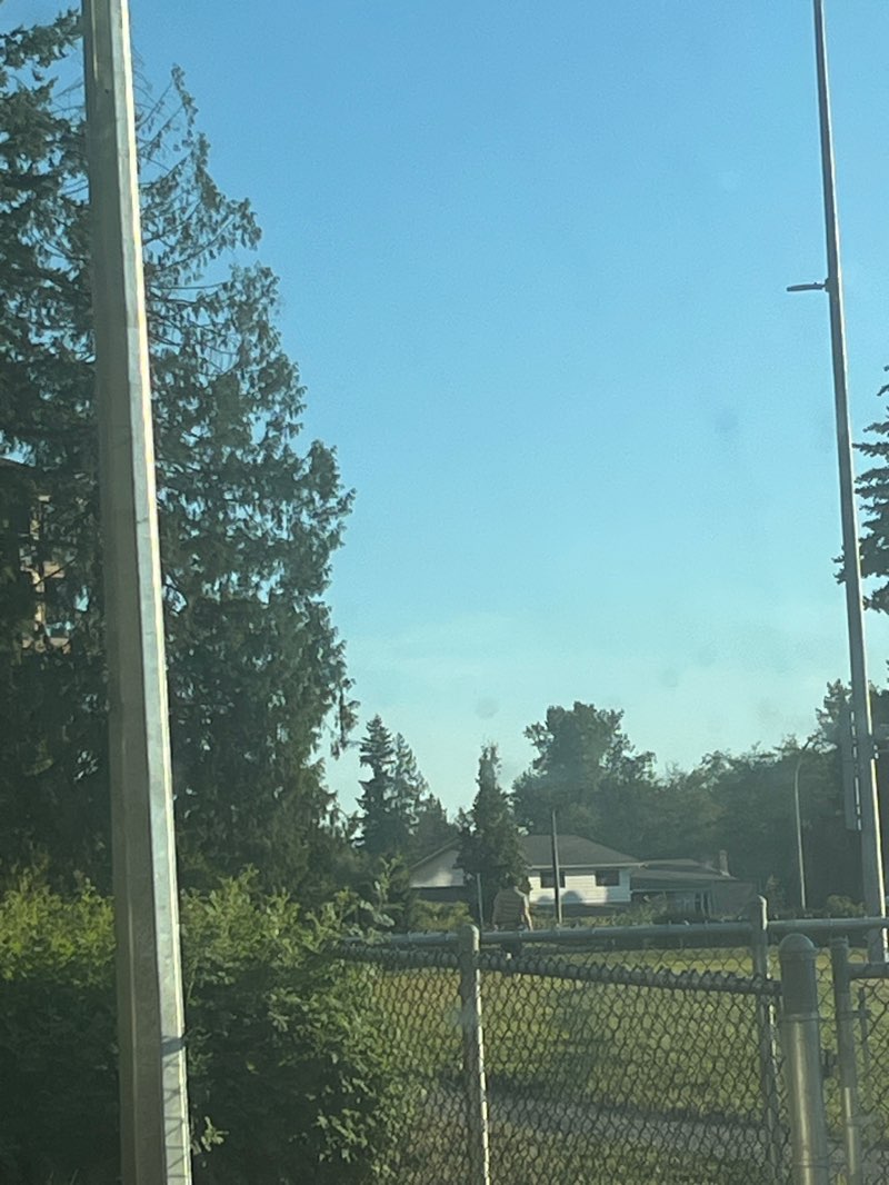 walking near me in Yorkson Community Park in autumn