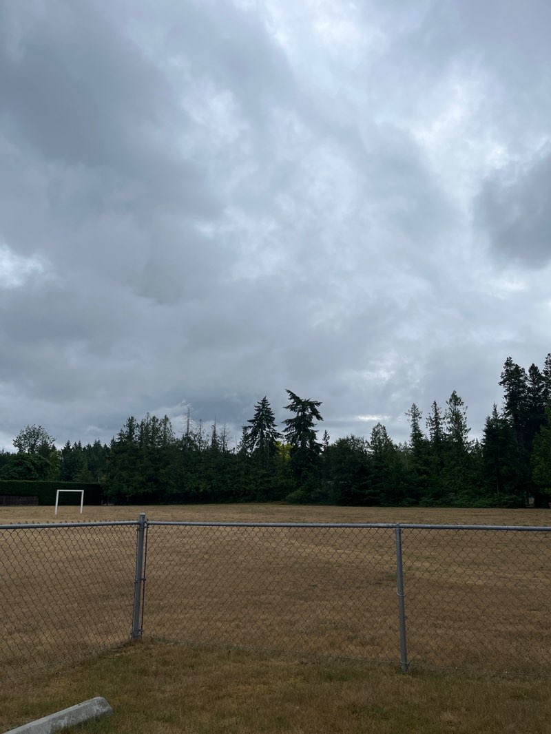 walking near me in Dashwood Community Park in summer