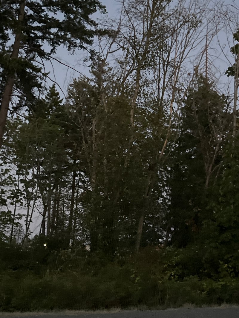 walking near me in Marks Nature Park in autumn