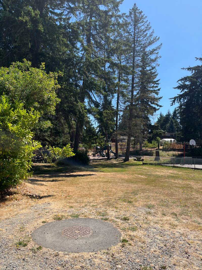 walking near me in Copley Park in autumn
