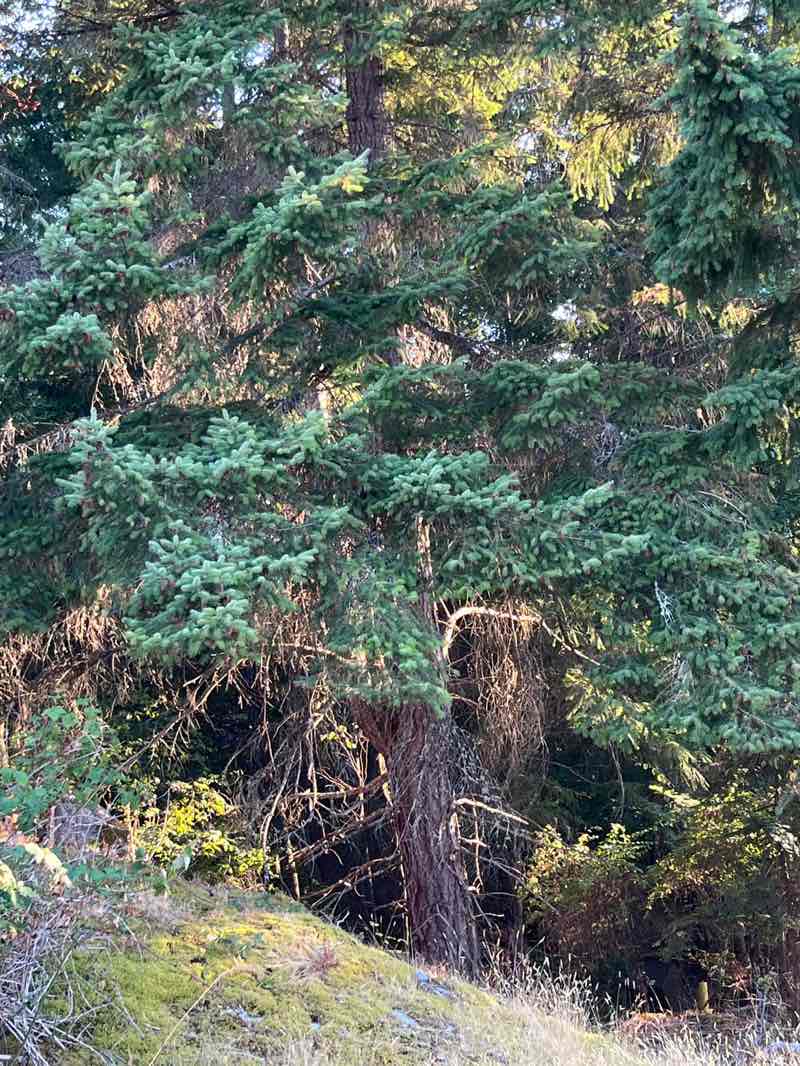 walking near me in Brickyard Community Park in autumn