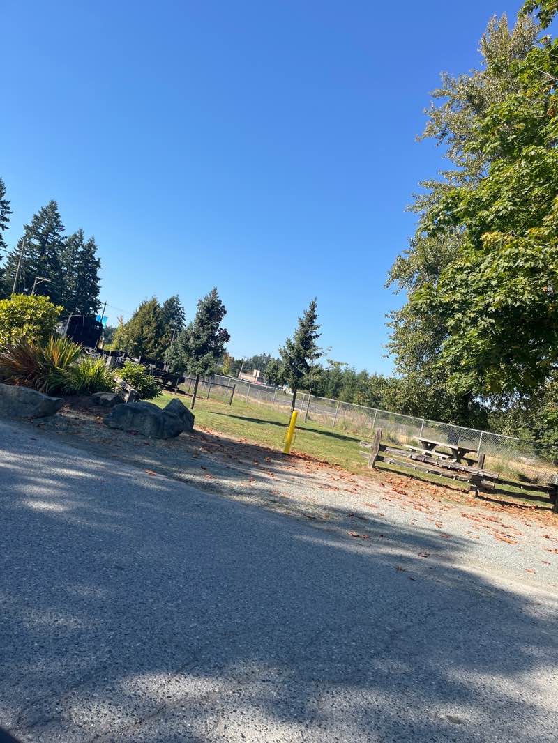 walking near me in Gerry Smith Park in autumn
