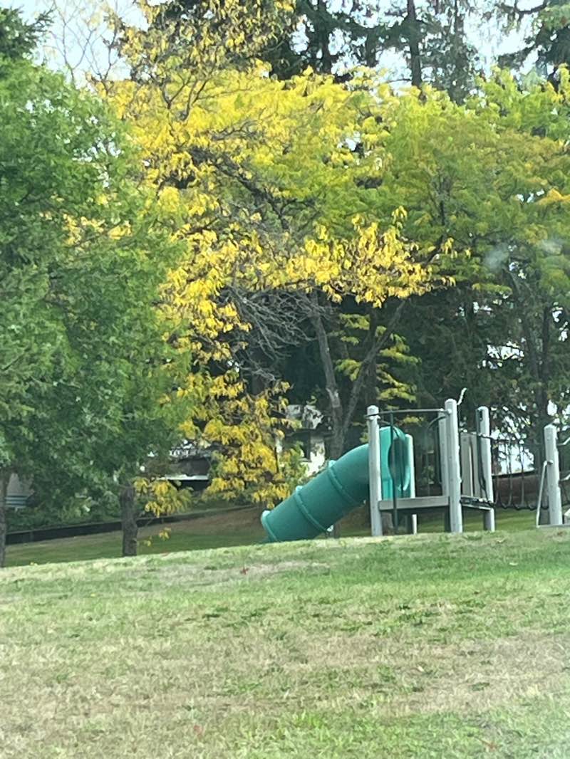 walking near me in Gyro Park in autumn
