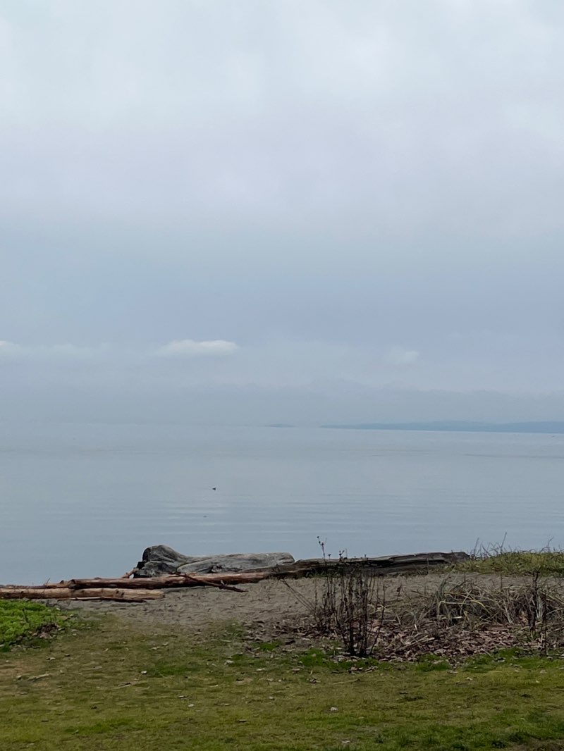 walking near me in Parksville Community Park in winter