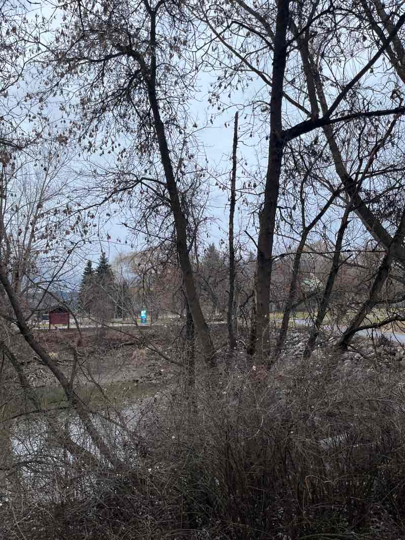 walking near me in Marine Park in winter