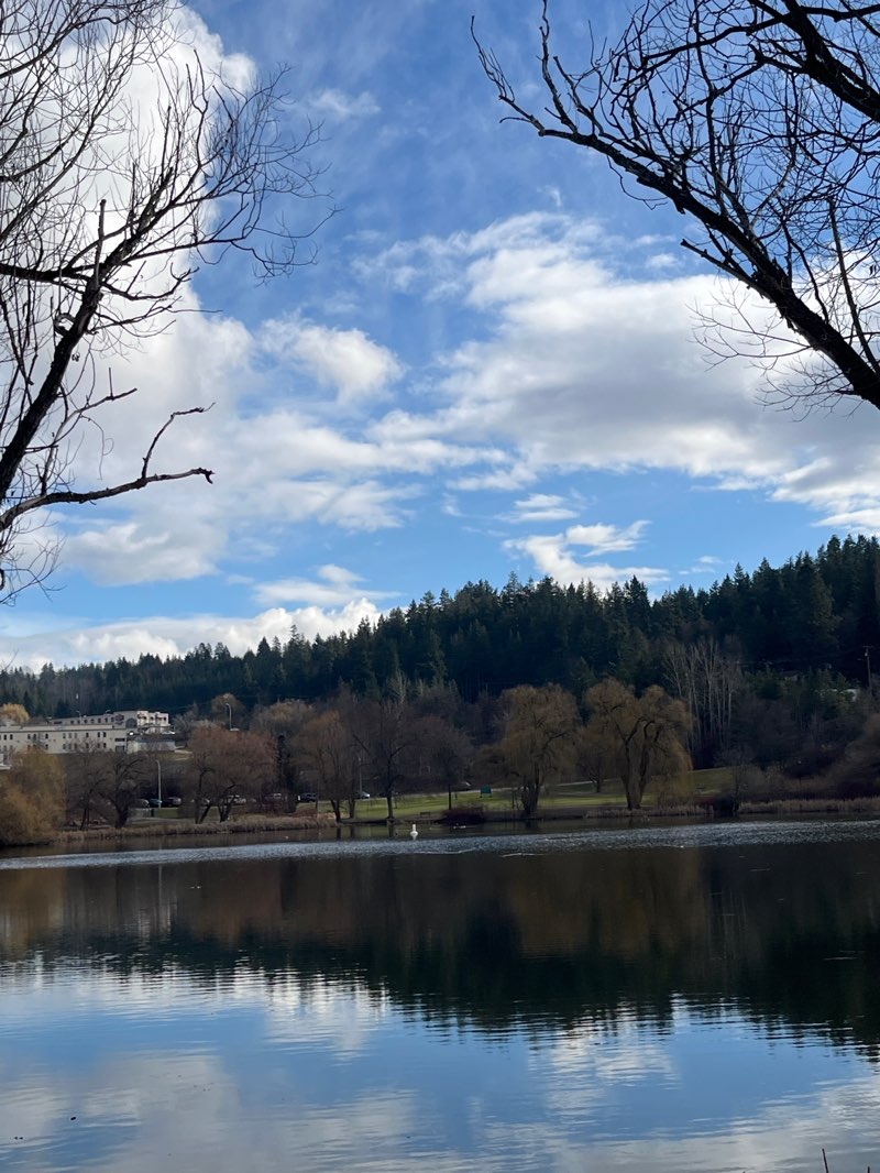 walking near me in McGuire Lake Park in winter