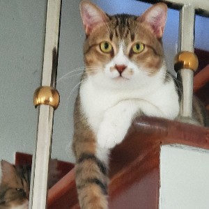 participant 2