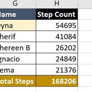 F+P Dubai Fitness Rocky post image