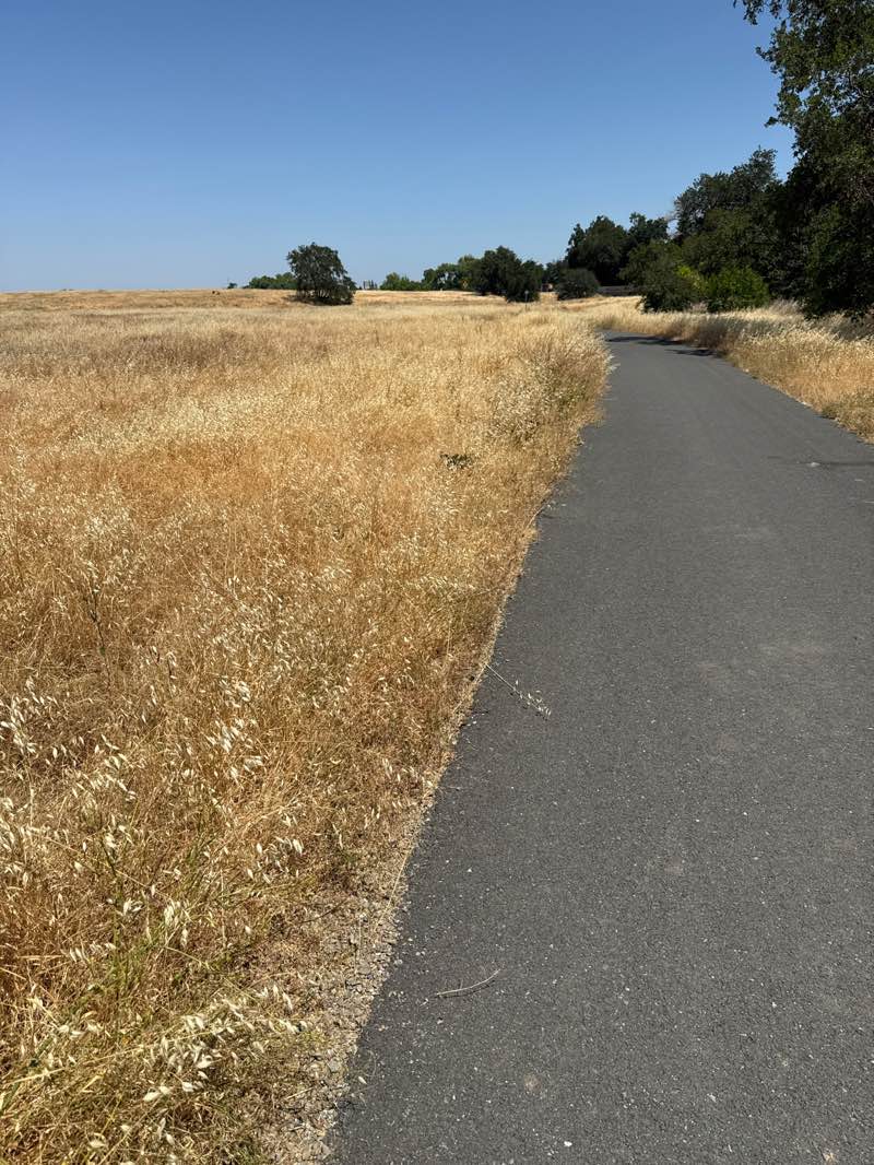 walking near me in Marsh Creek State Park in spring