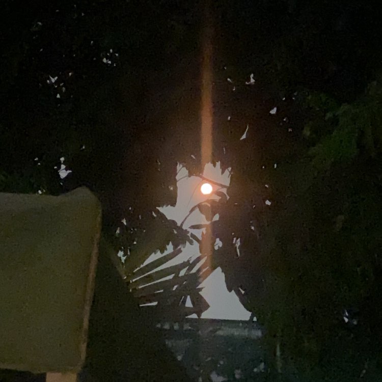 Siritorn on Iphone post 3