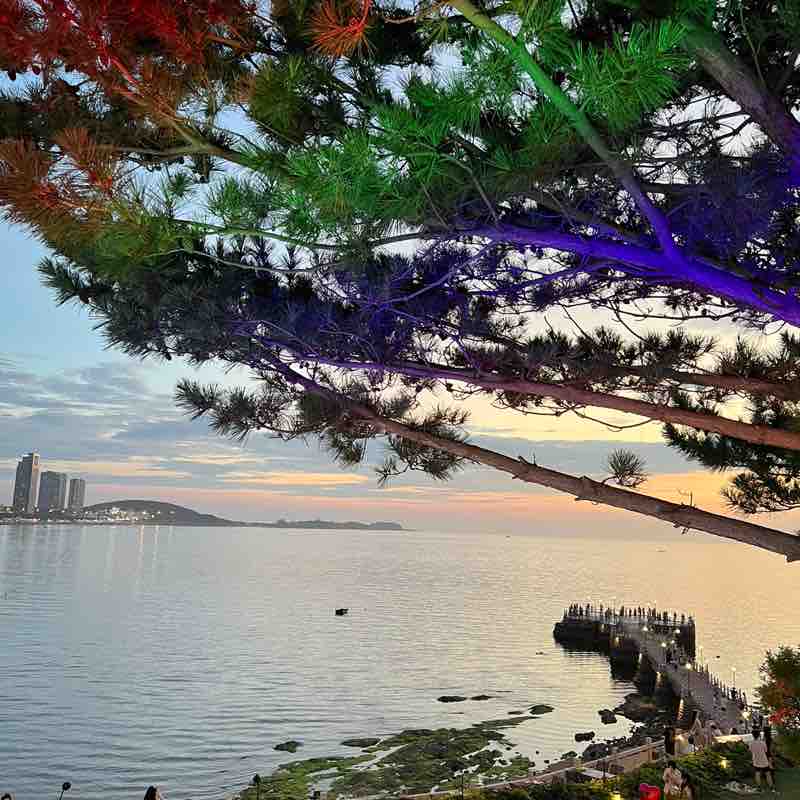 周海燕（美彦） post 1