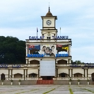 participant 2
