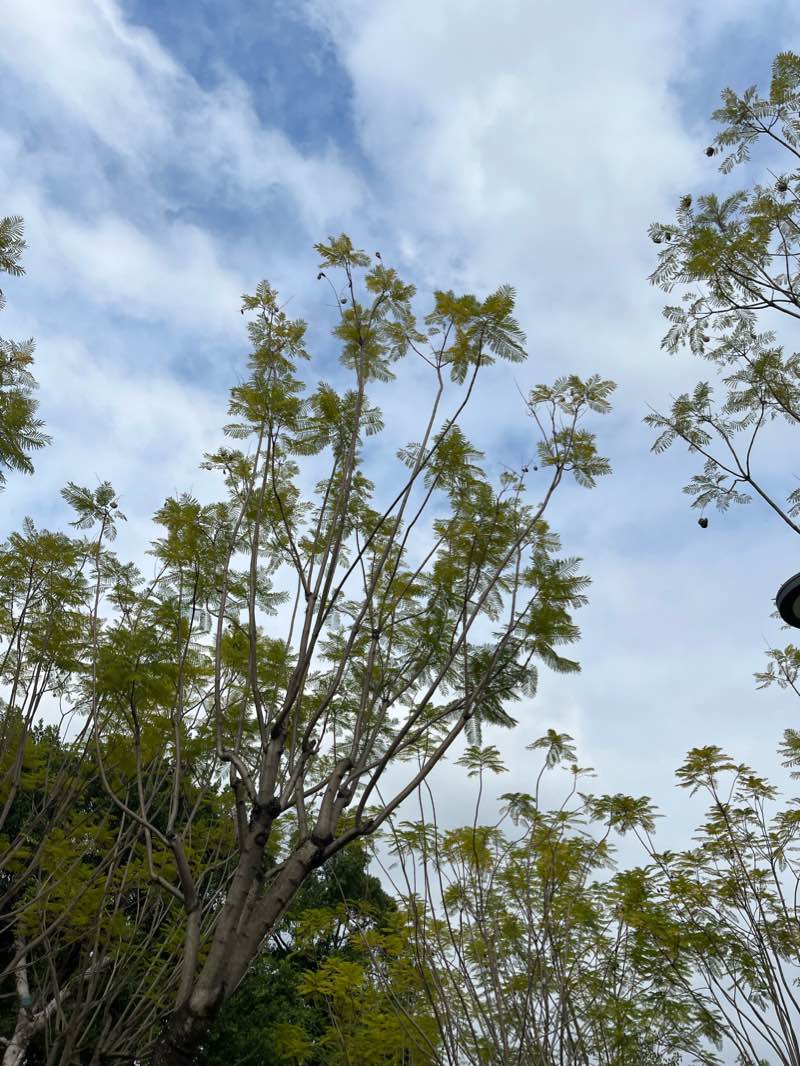walking near me in 花海公园 in winter