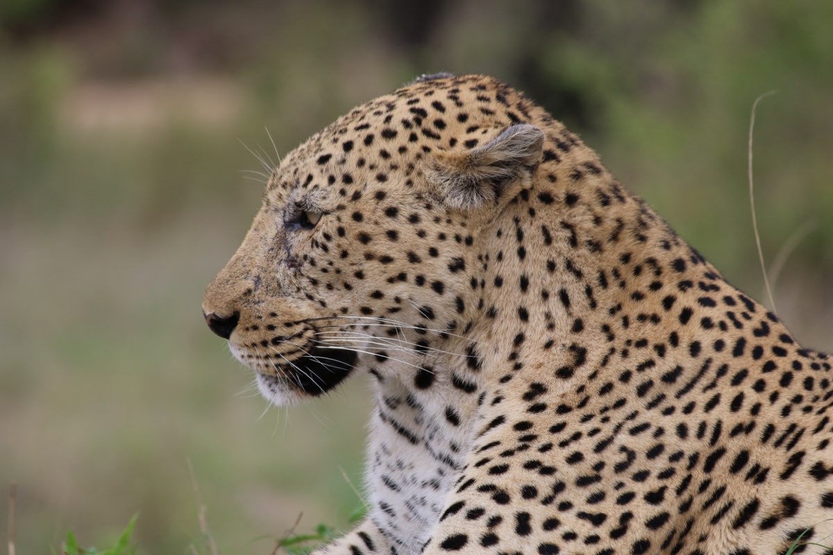 Jo-Anne da Silva profile