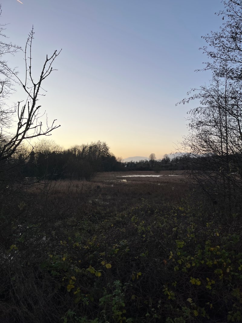 walking near me in Dún na Sí Amenity & Heritage Park in autumn