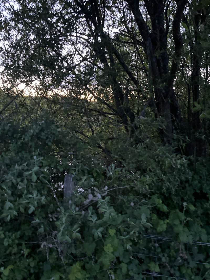 walking near me in Dún na Sí Amenity & Heritage Park in spring