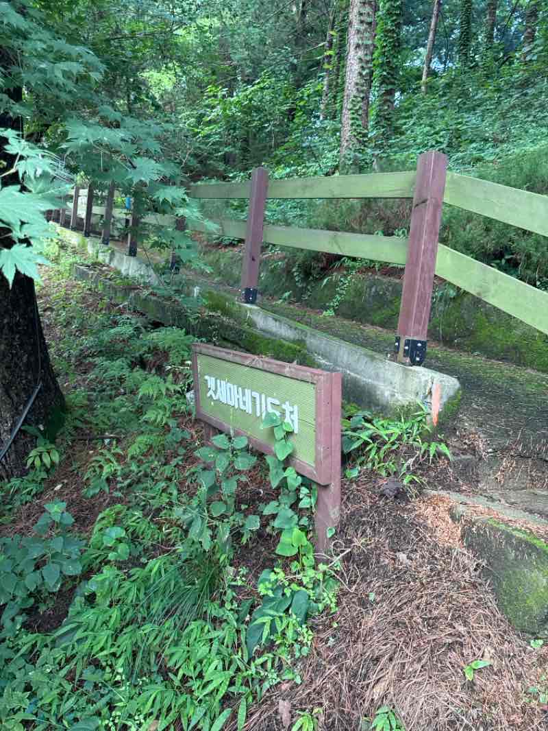 walking near me in 마들근린공원 in winter