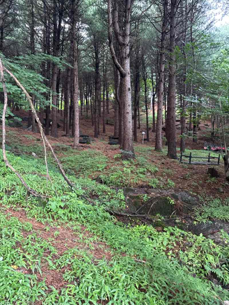 walking near me in 마들근린공원 in winter