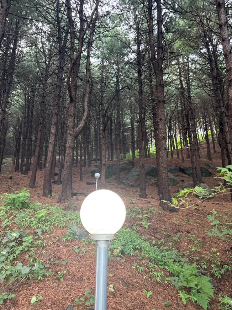 walking near me in 마들근린공원 in winter