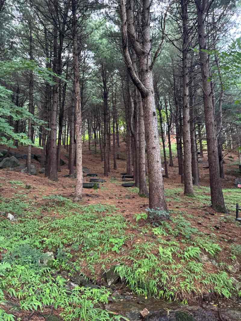 walking near me in 마들근린공원 in winter