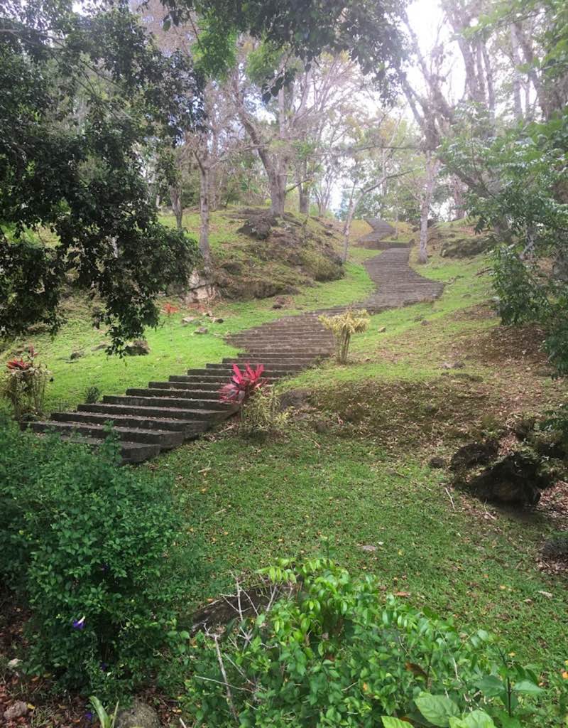 walking near me in Parque Forestal in winter