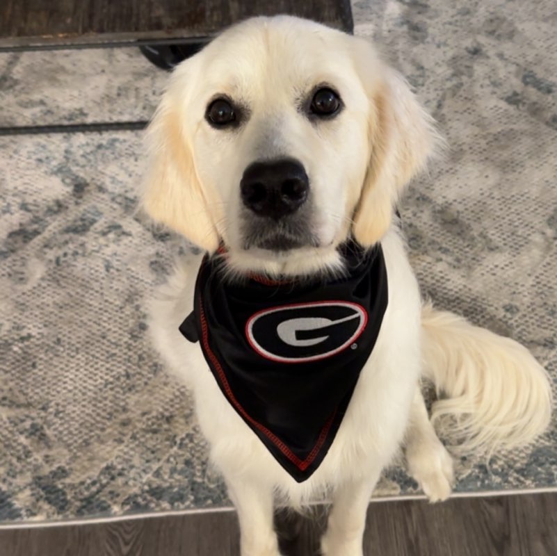 Taylor Phillips profile