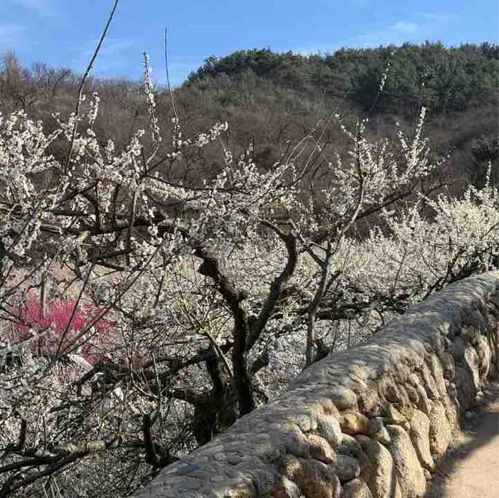 j+3 🇰🇷🏃🏻 post 3