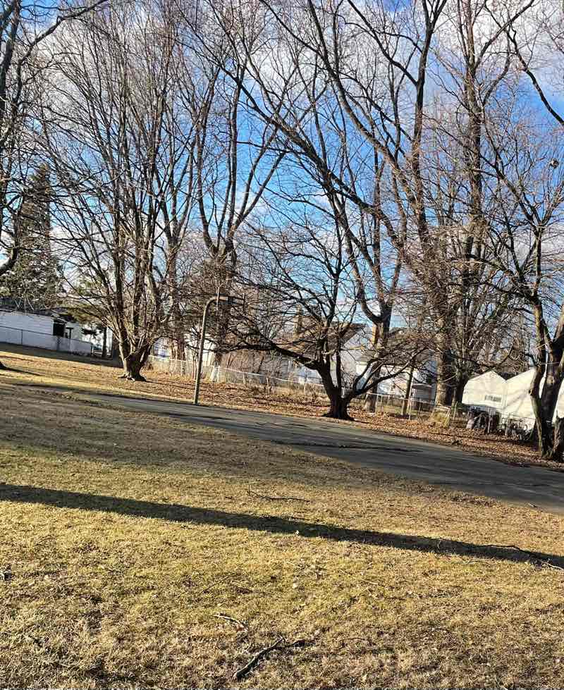 walking near me in Church Park in spring