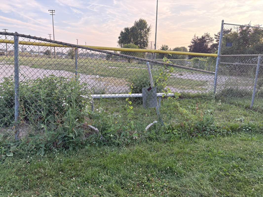 walking near me in Quandt Park in autumn