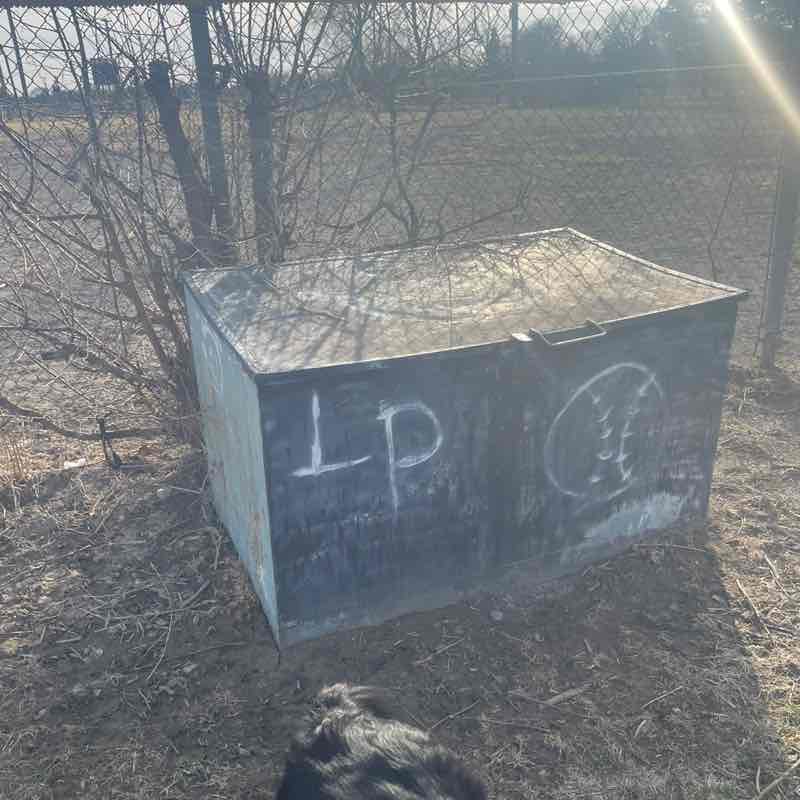 17JO’bamacheated17 post 1