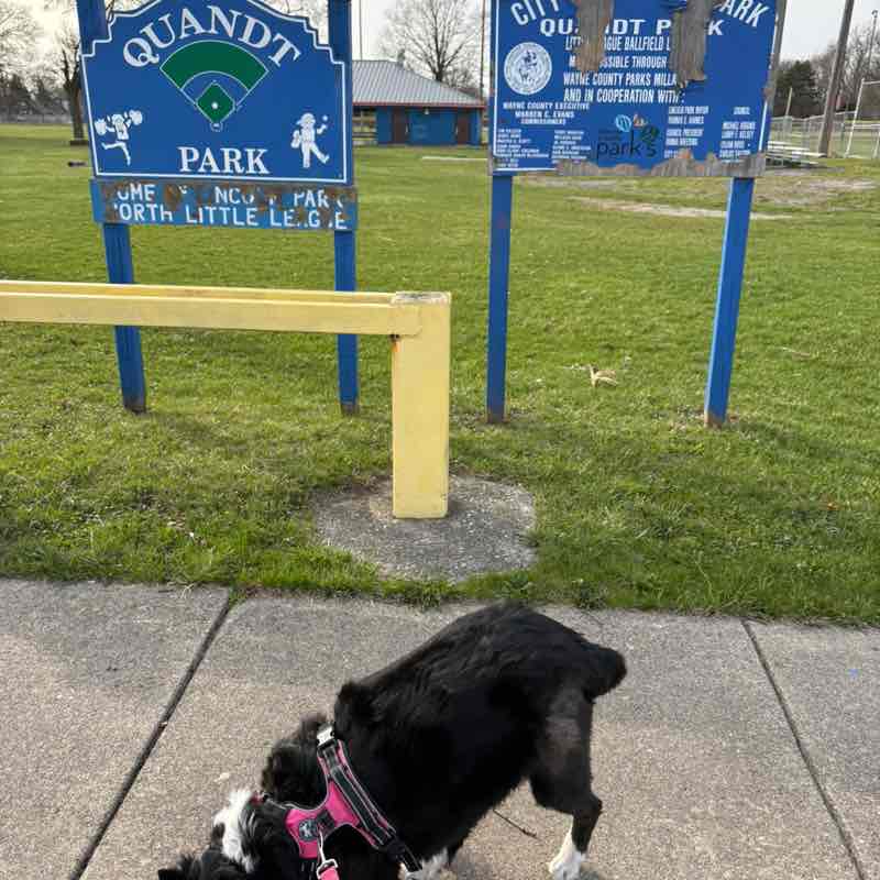 17JO’bamacheated17 post 1