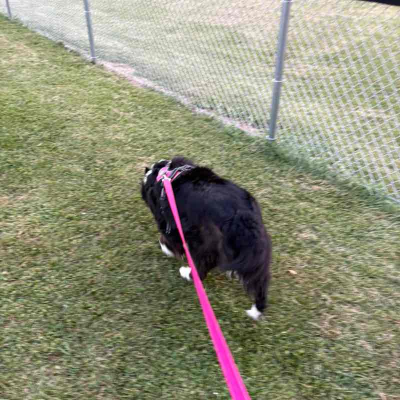 17JO’bamacheated17 post 1