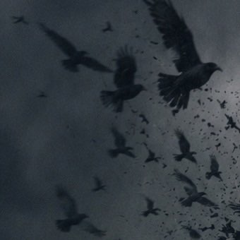 ➳𝕊𝕒𝕟𝕕𝕣𝕠☆ post 1