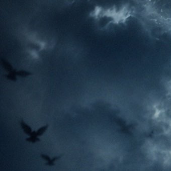 ➳𝕊𝕒𝕟𝕕𝕣𝕠☆ post 1