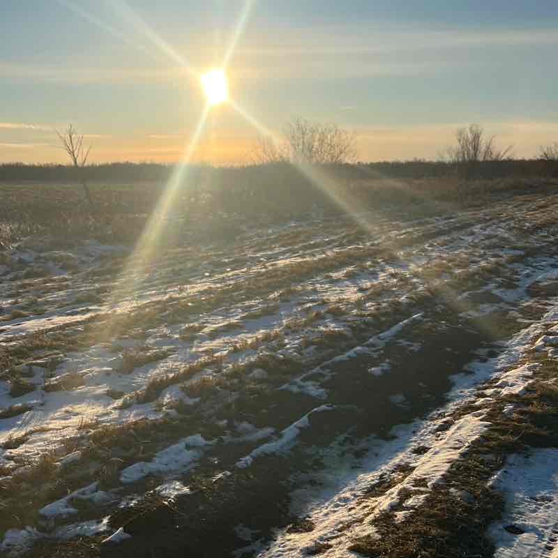 Лилиана 3/7 post 2