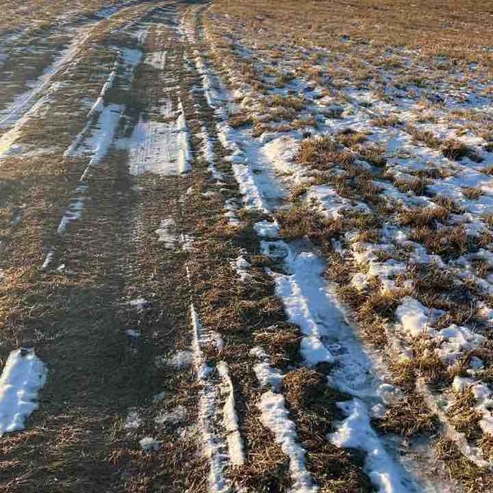 Лилиана 3/7 post 3