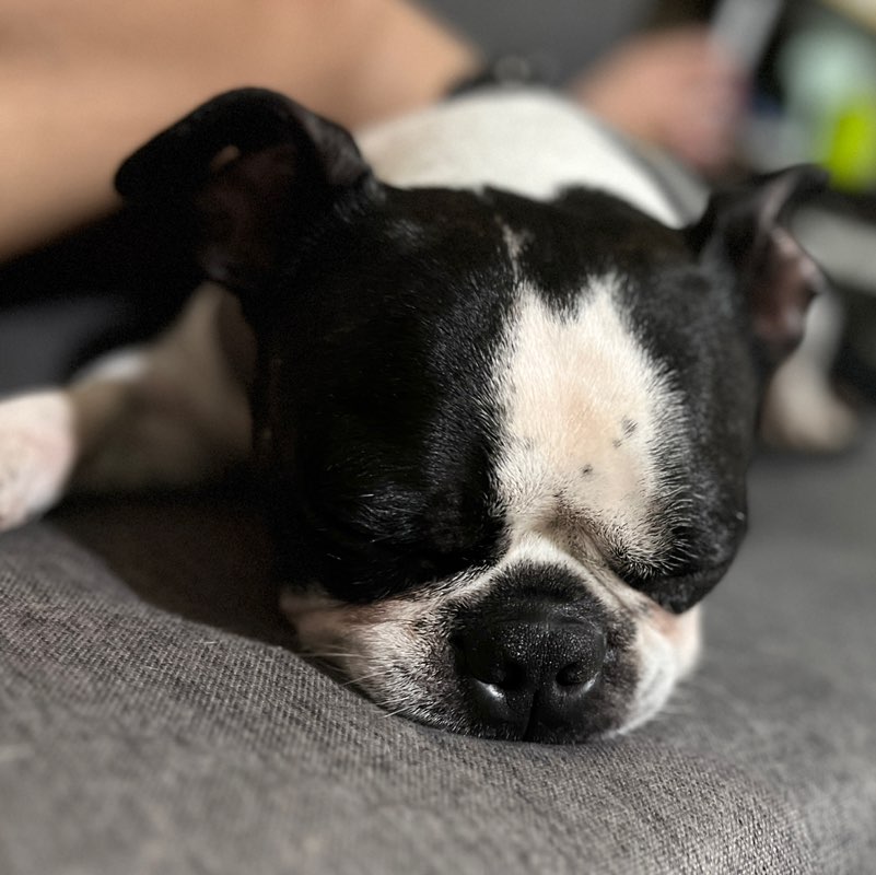 Mariel Fernando profile