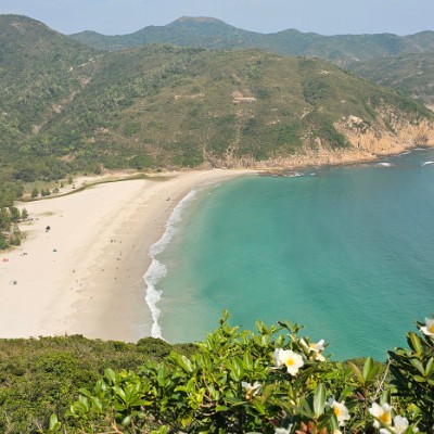 RISK SoCo Stefan - One RISK ahead post image