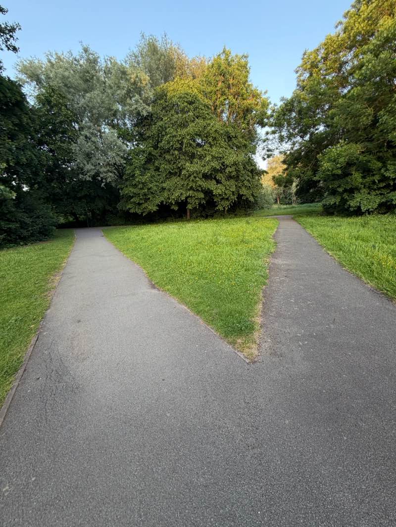 walking near me in Paddington Meadows in summer