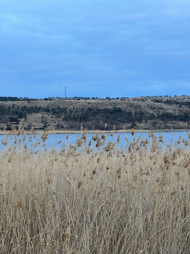 walking near me in ლისი რეკრეაცია in winter