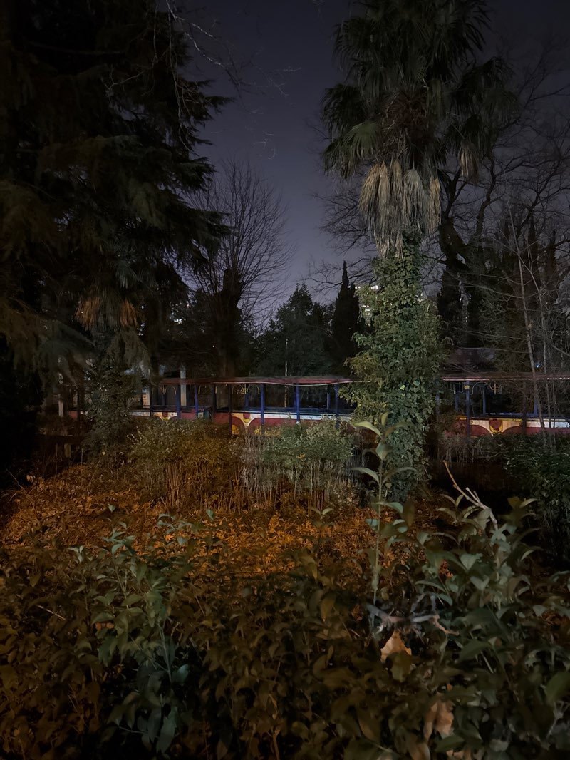 walking near me in Mushthaidi Garden in winter