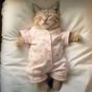 დ᭄ꦿ终是过客℘დ᭄