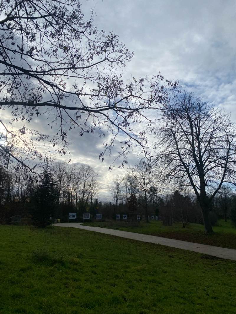walking near me in Parc Pierre-Lagravère in winter
